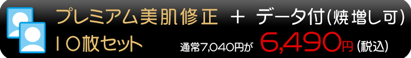 修正レタッチプレミアム10枚