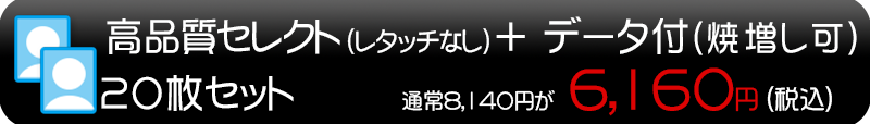 セレクトプラン20枚
