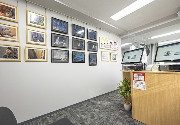 写真ギャラリー