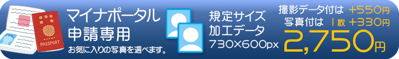 マイナポータル申請用