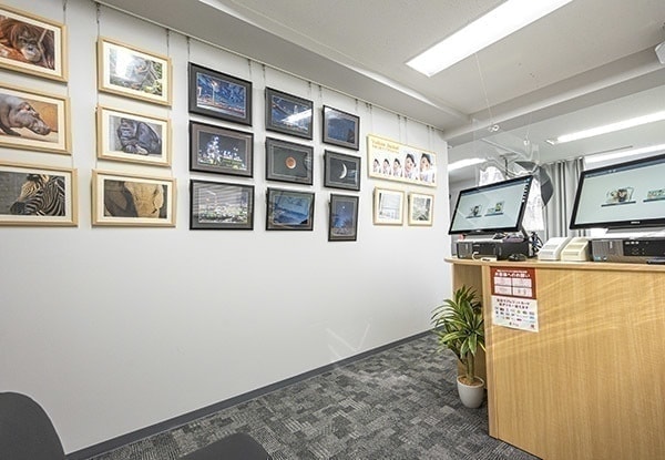 写真ギャラリー